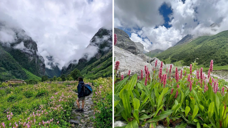 trekking in Uttarakhand