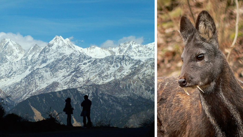 Askot Wildlife Sanctuary
