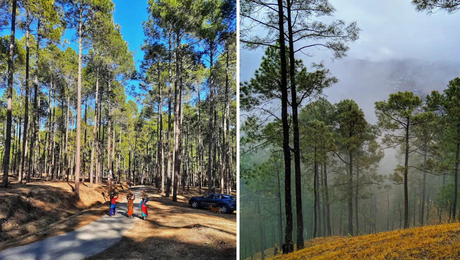 binsar Wildlife Sanctuary