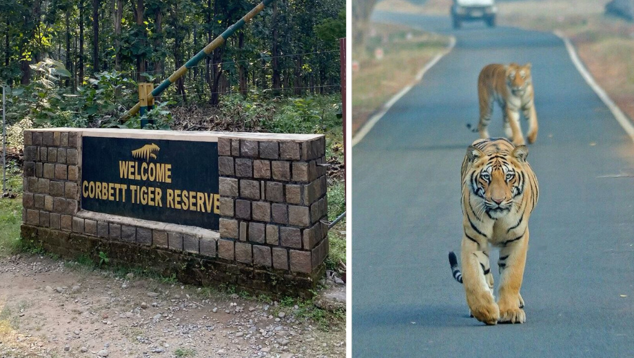 wildlife sanctuaries in uttarakhand