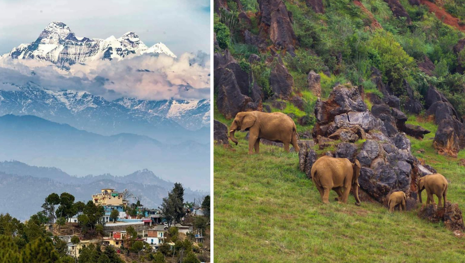 wildlife sanctuaries in uttarakhand