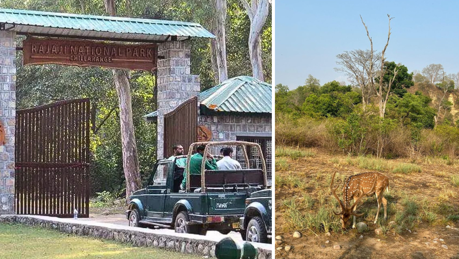 Raja ji national park 