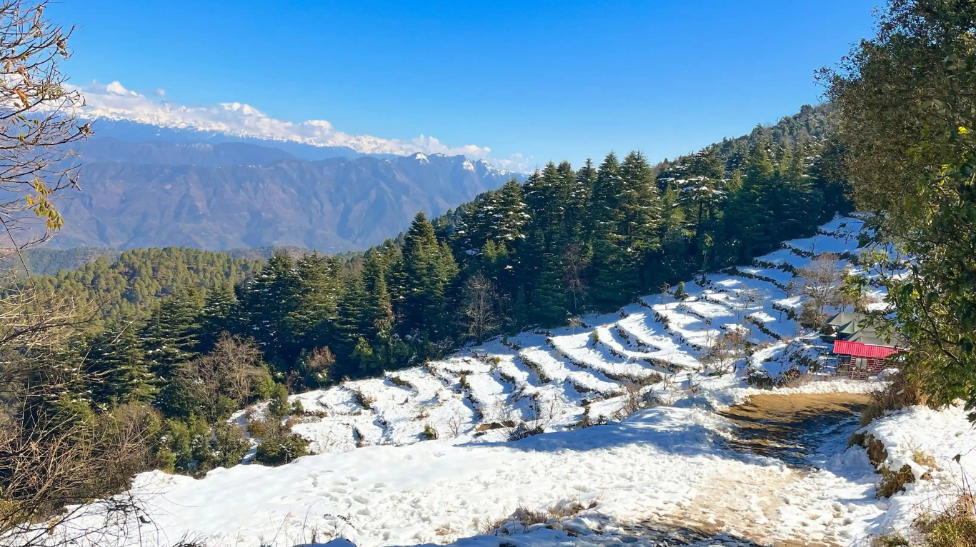 Kanatal picnic spot surrounded by Himalayan views