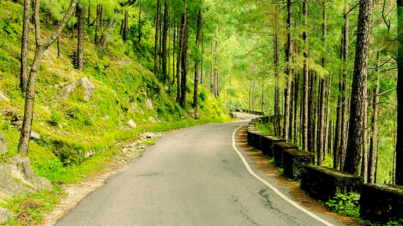 Lansdowne area with forest views