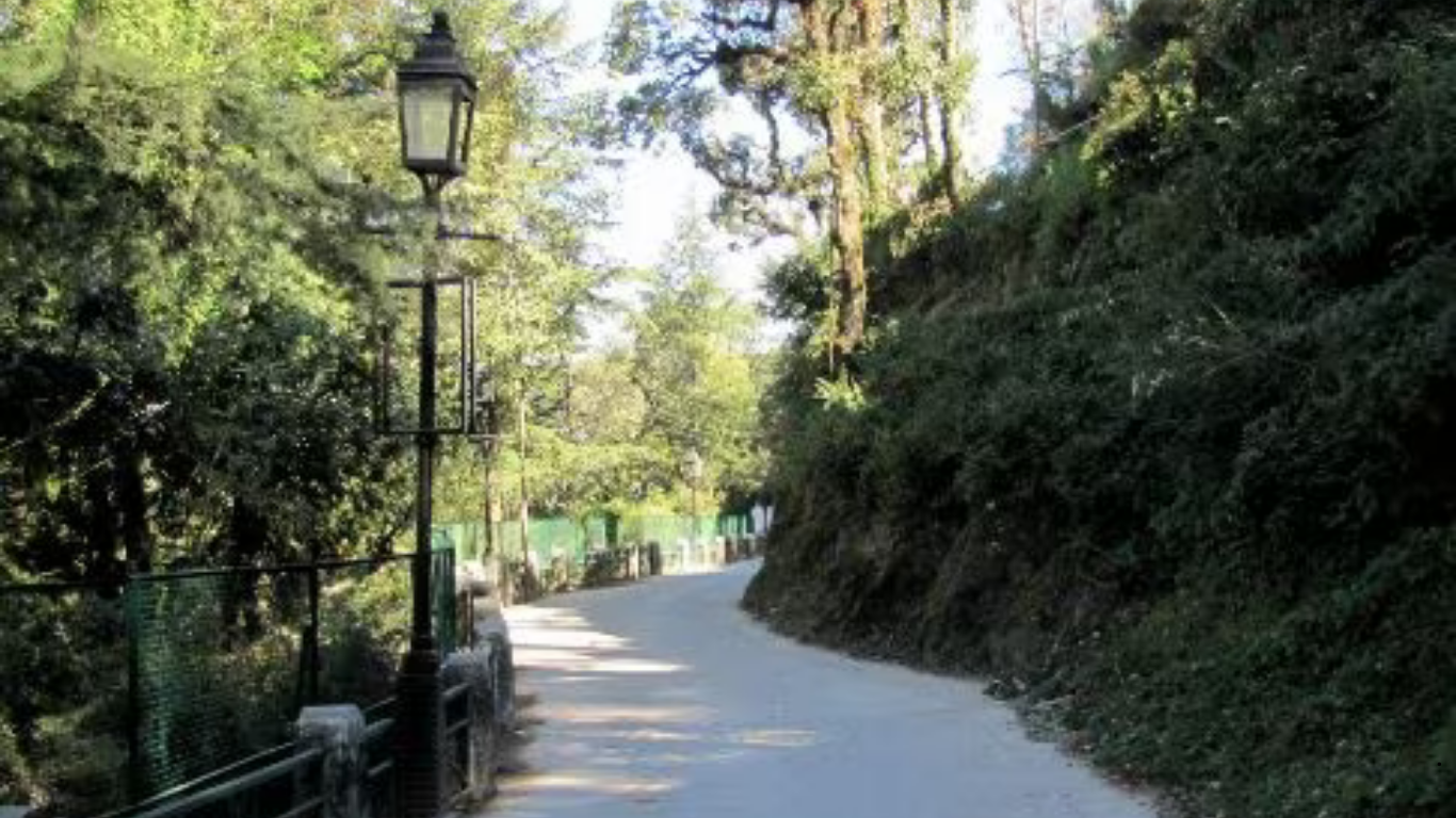 Camel’s Back Road in Mussoorie with scenic mountain views and pine trees