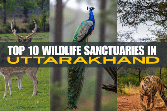 Wildlife sanctuaries in Uttarakhand