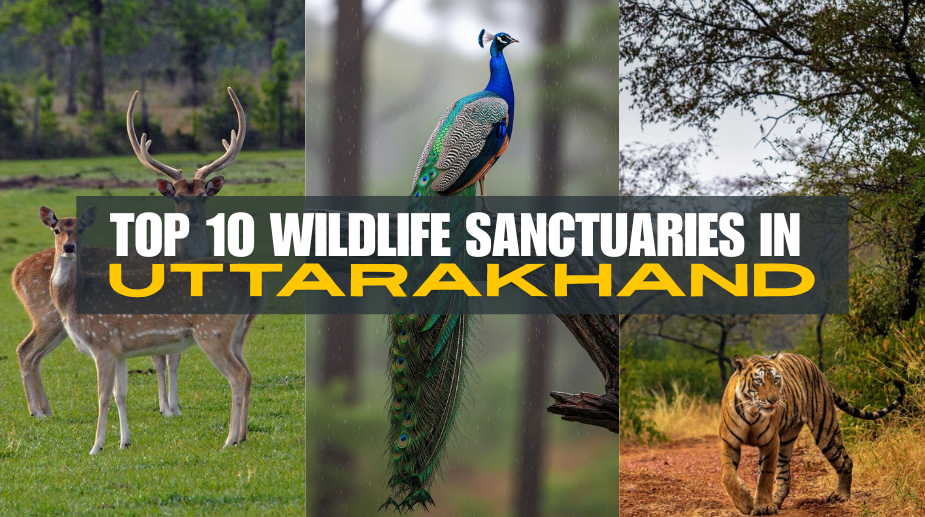 Wildlife sanctuaries in Uttarakhand