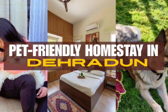 Pet Friendly Homestay in Dehradun