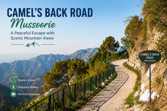 Camel Back Road