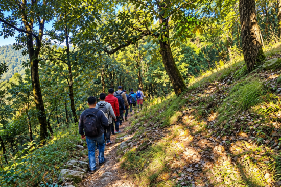 Jabarkhet Nature Reserve Trek: Birds, Wildlife & Forest Views